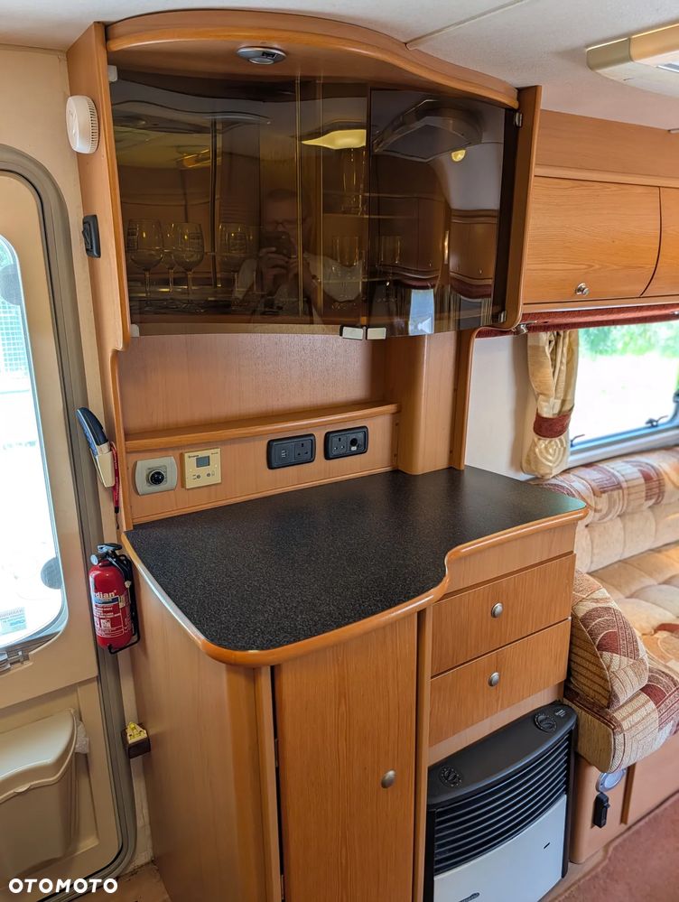 Avondale Golden Avocet - 22