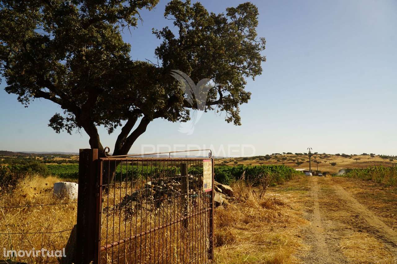 HERDADE NO ALENTEJO - Grande imagem: 3/39