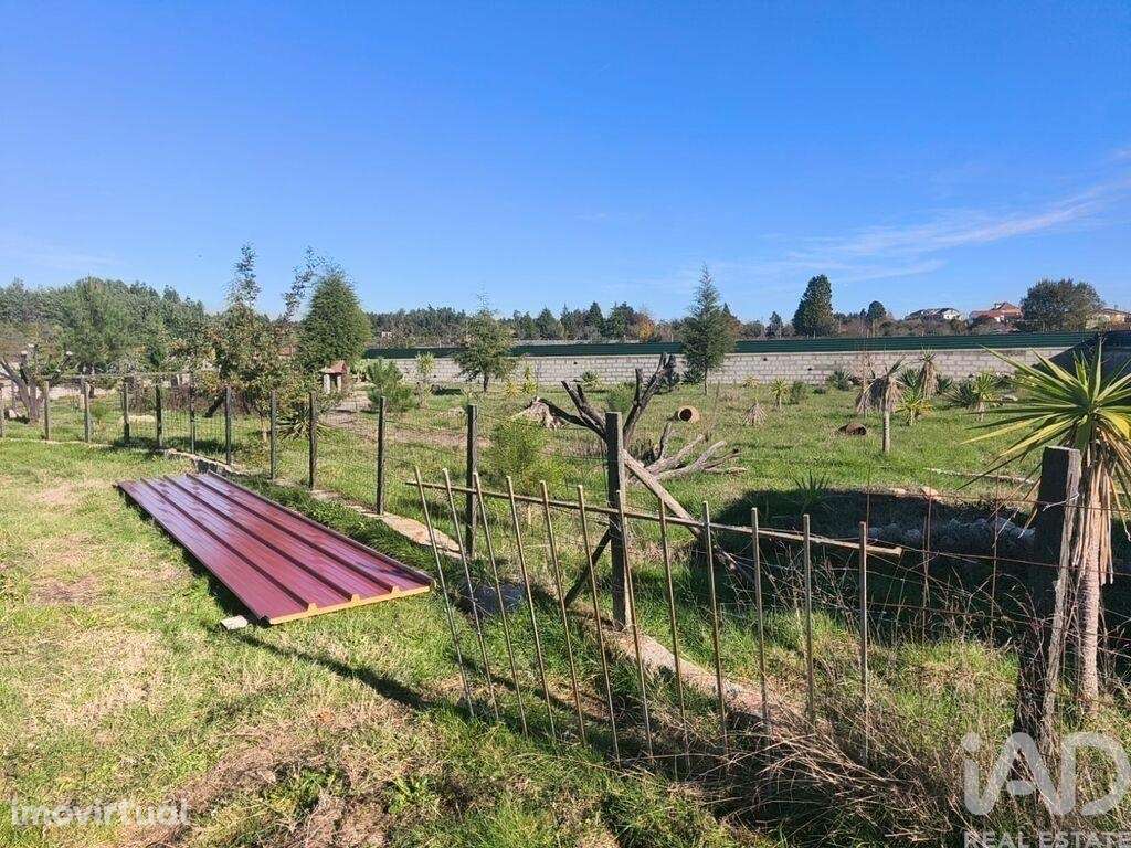 Terreno em Ervedal e Vila Franca da Beira - Grande imagem: 4/40