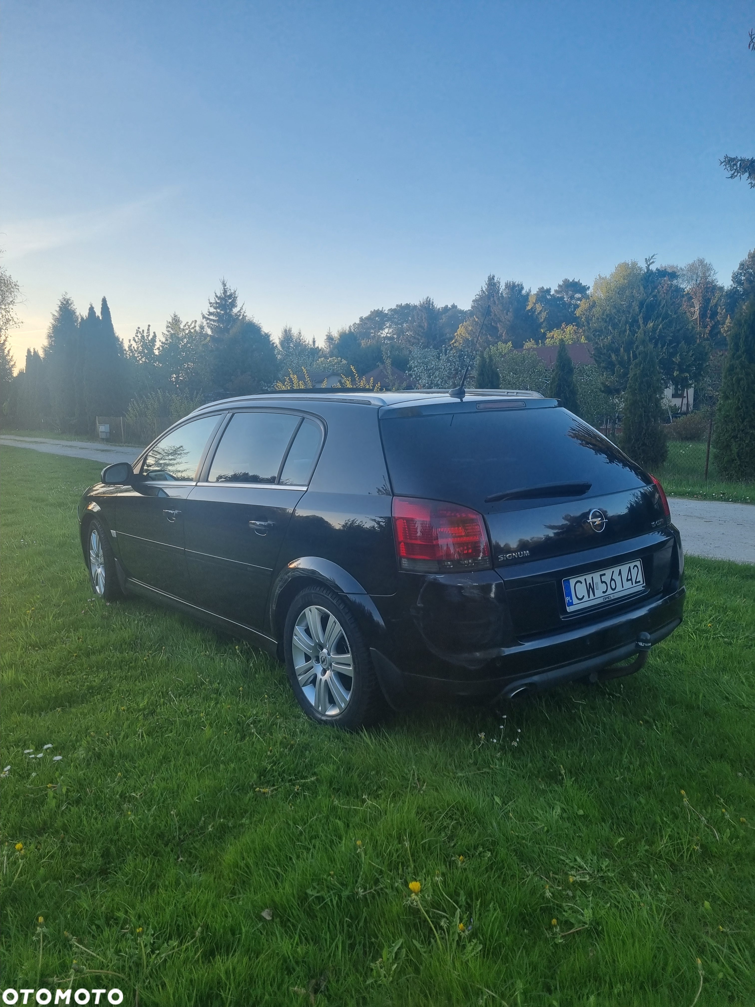 Opel Signum - 5