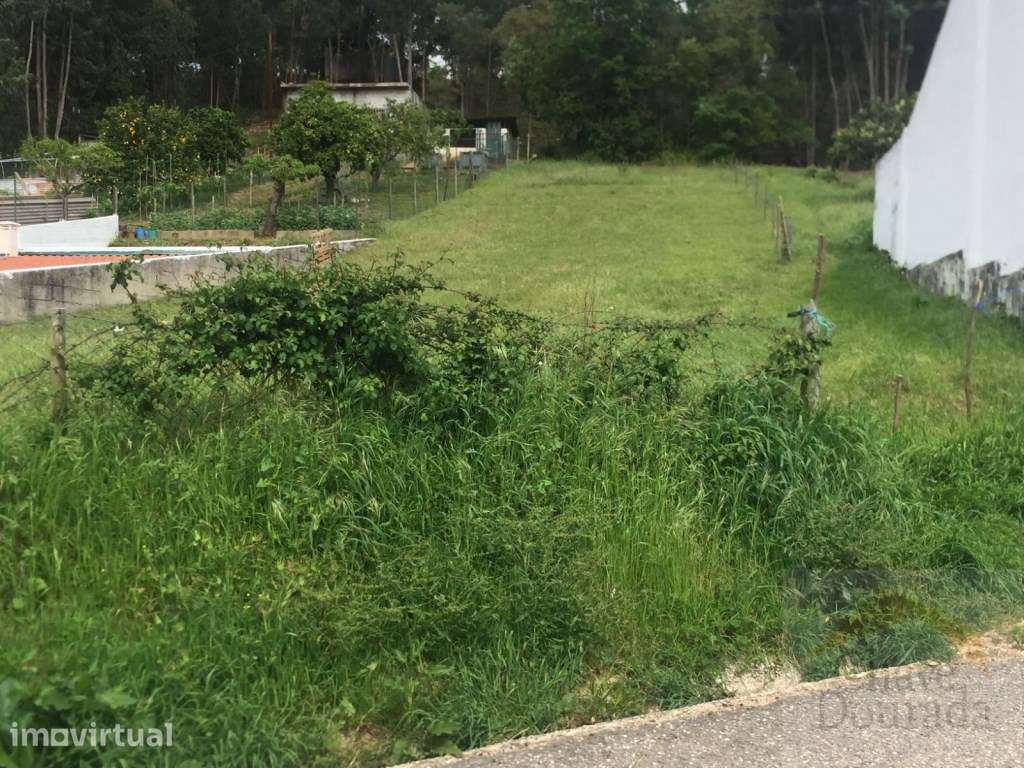 Terreno para construção perto de São Marinho do Bispo. - Grande imagem: 4/7