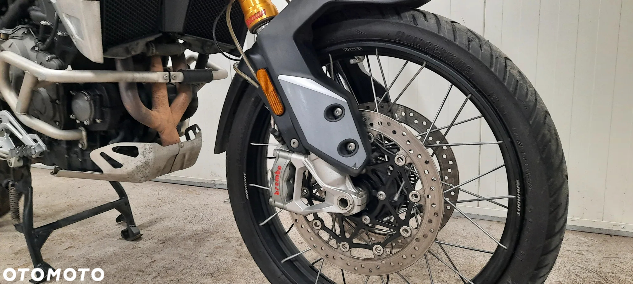 Triumph Tiger - 2