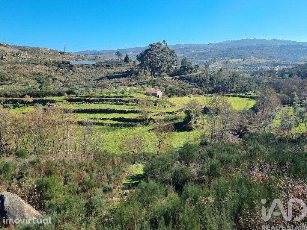 Quinta em Cortiçô da Serra, Vide Entre Vinhas e Salgueirais de 105,00 - Grande imagem: 2/23