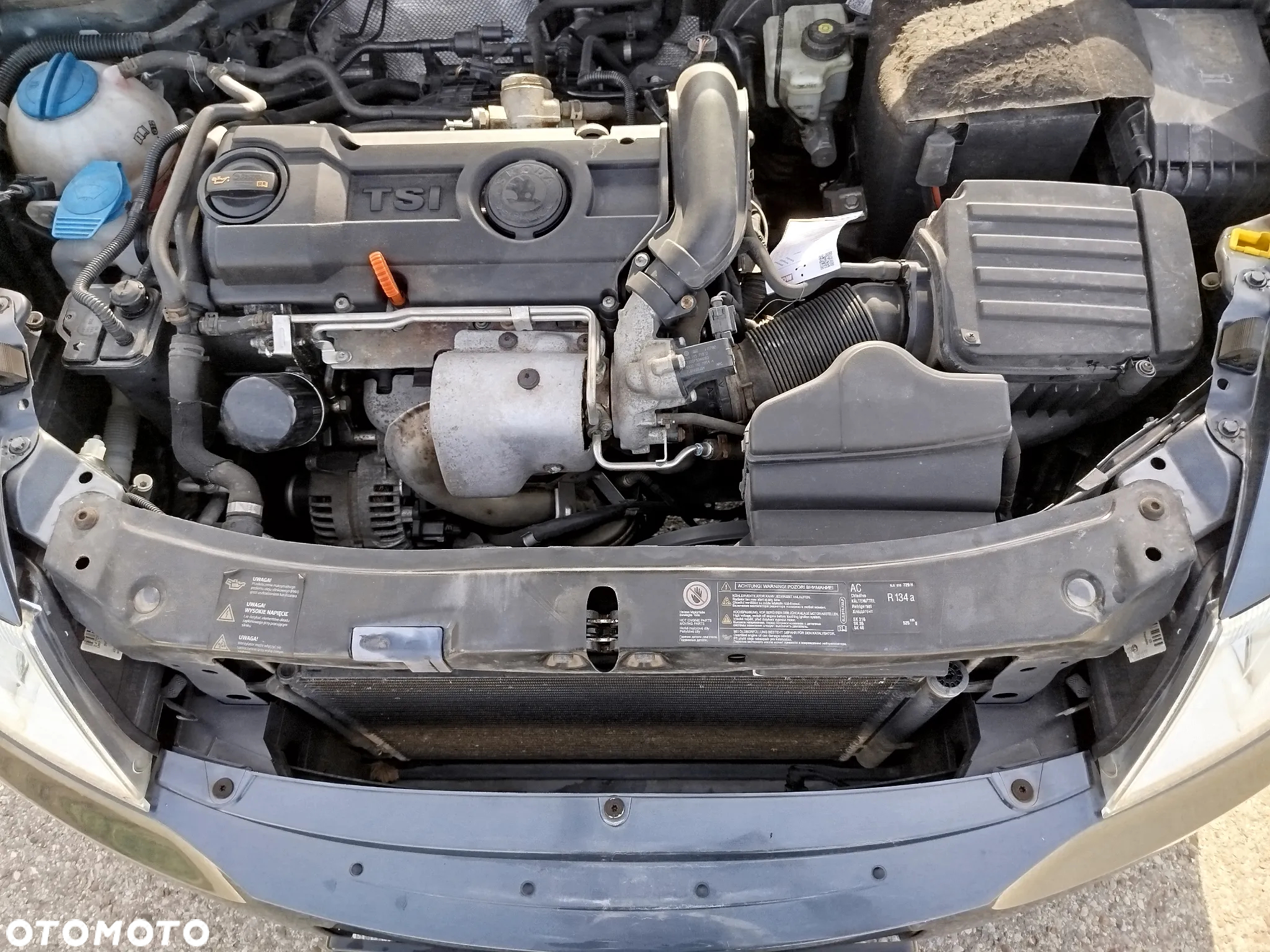 Skoda Octavia 1.4 TSI Classic - 14