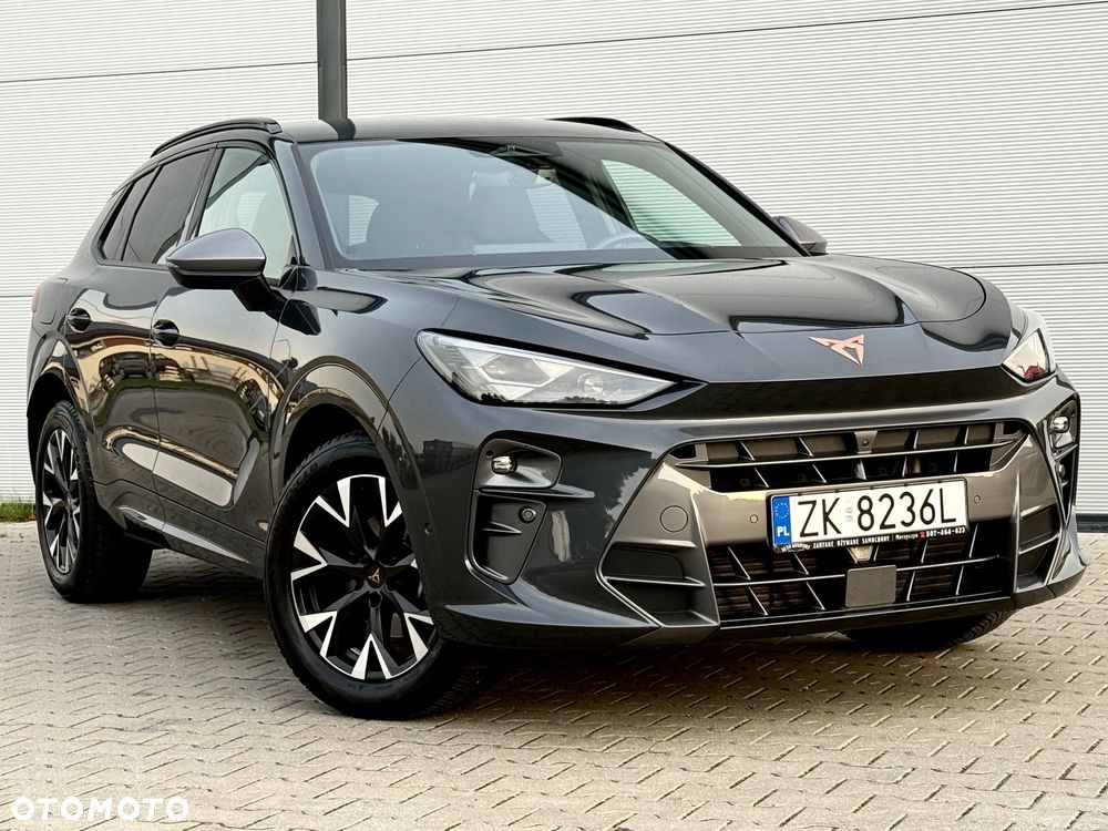 Cupra Terramar 1.5 eTSI DSG Tribe Edition - 11