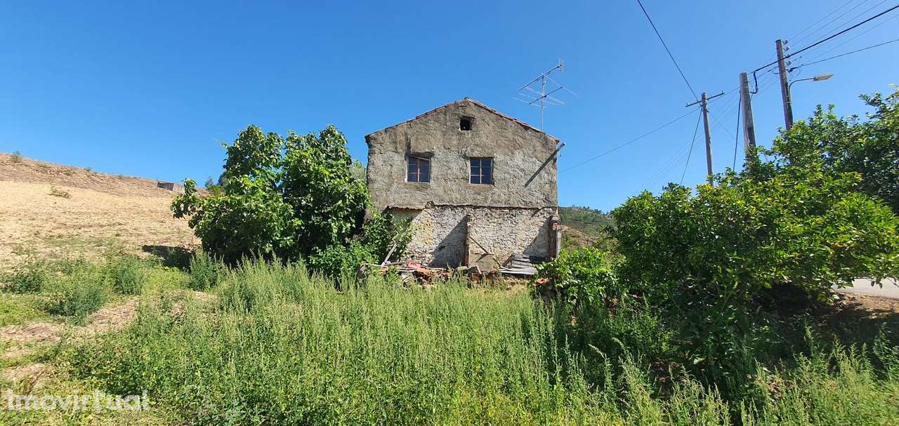 Quintinha com casa 90 m2 e terreno 3080 m2, perto da Amêndoa e Vila d - Grande imagem: 4/48