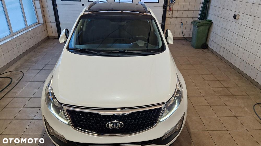 Kia Sportage - 29