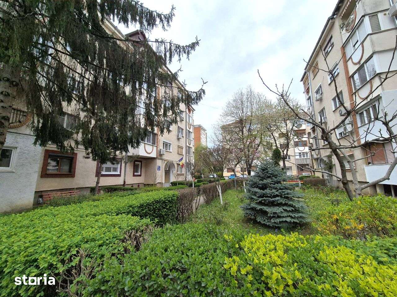 Apartament spatios, frumos renovat, ultracentral, Arad — fotografia 3