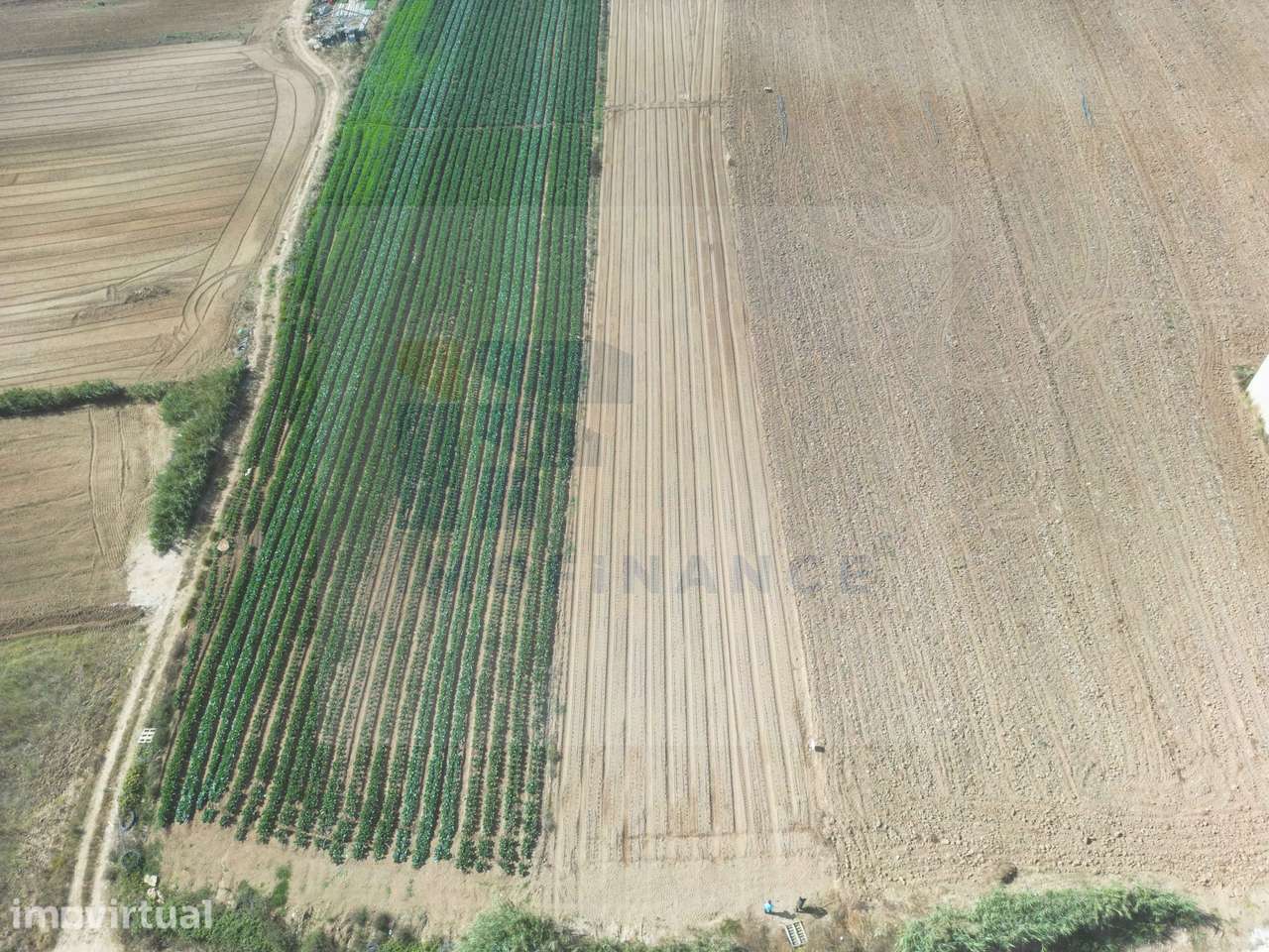 Terreno Urbano para Construção, Atouguia da Baleia, Peniche - Grande imagem: 5/9