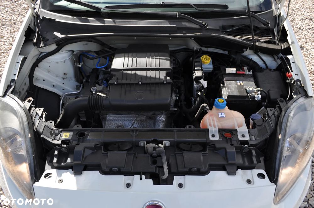 Fiat Punto 1.2 Young - 30