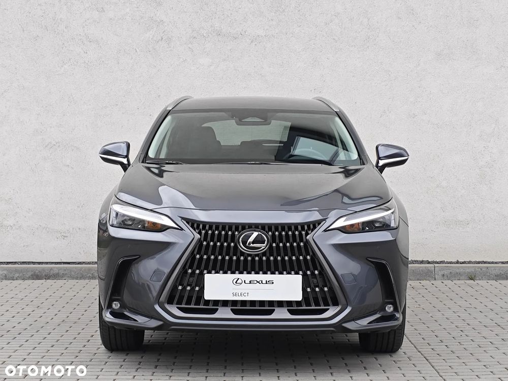 Lexus NX 350h Prestige AWD - 7