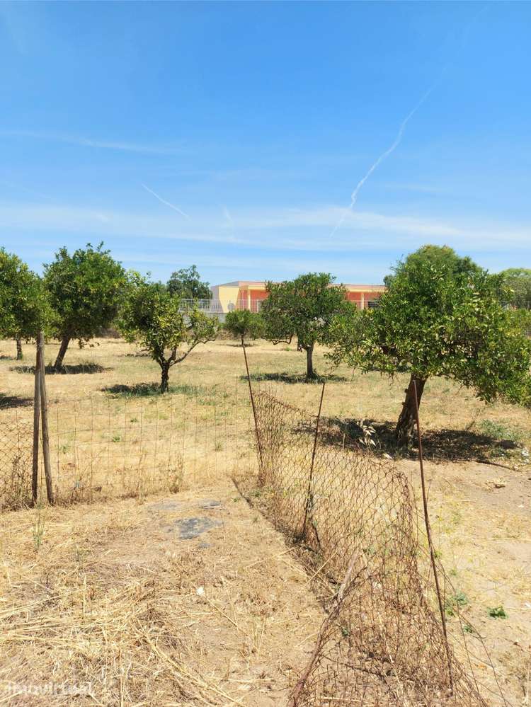 Moradia T3 + T1 + Terreno Urbanizável (Horta) - Vidigueira - Grande imagem: 4/34