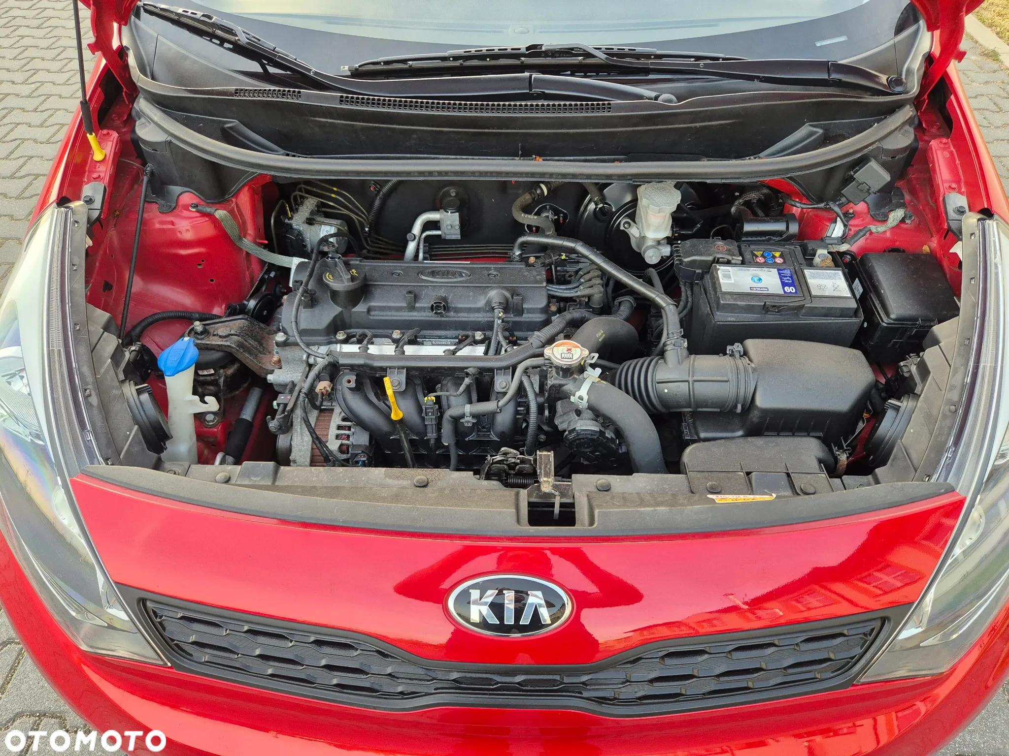 Kia Rio - 12