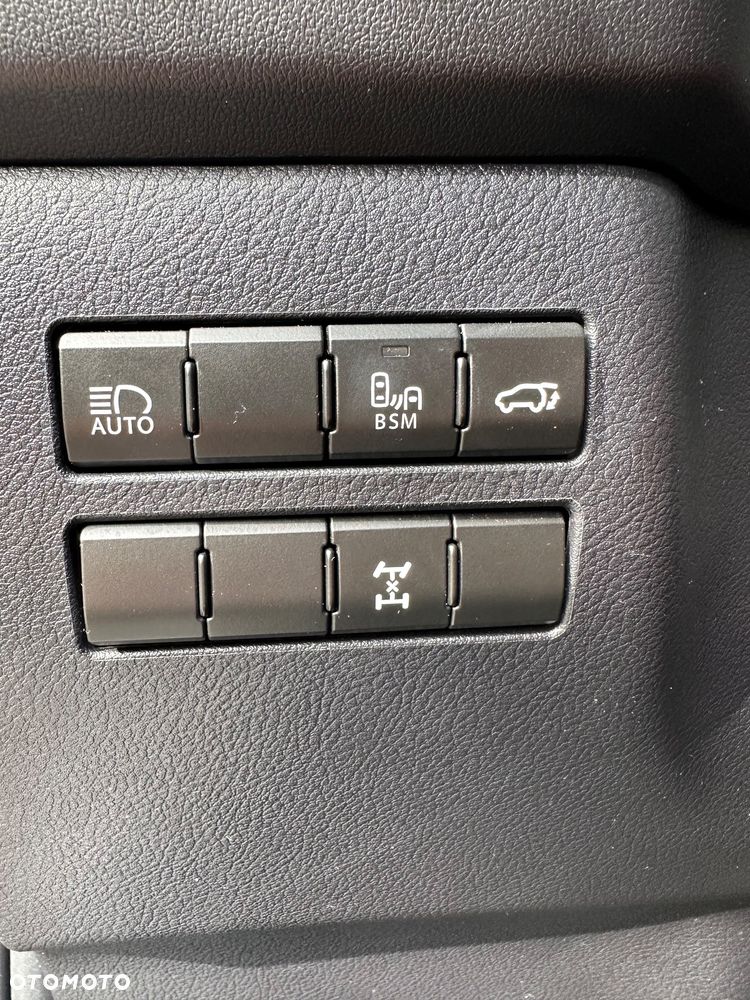 Lexus NX 300 F Sport AWD - 10