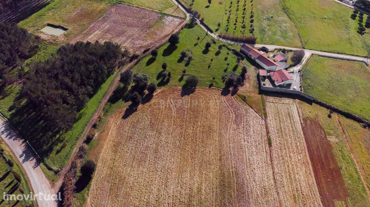 TERRENO COM 12.320M2 PARA CONSTRUÇÃO DE MORADIA - Grande imagem: 3/11