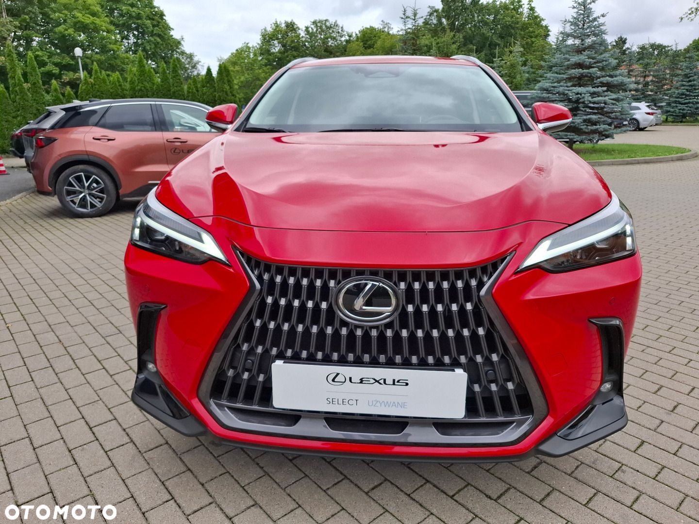 Lexus NX - 8