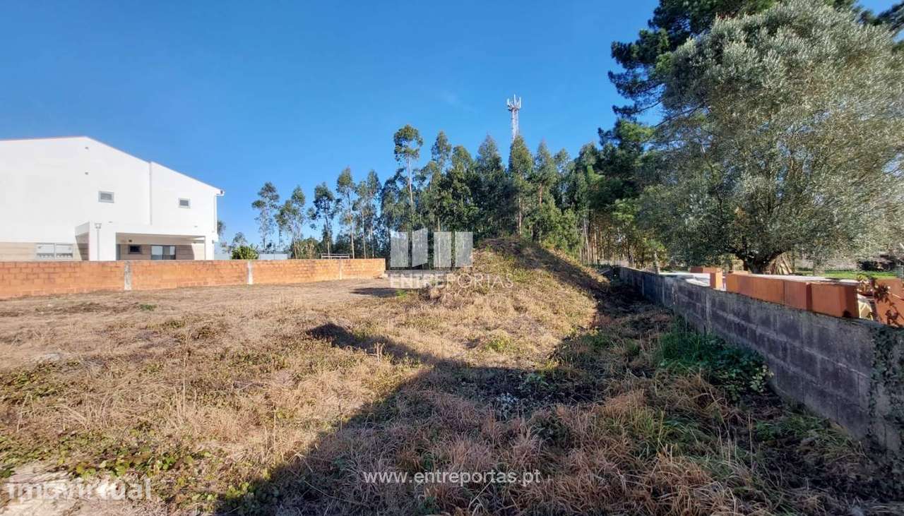 Lote - Forjães - Grande imagem: 2/30