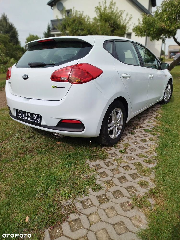 Kia Ceed - 5