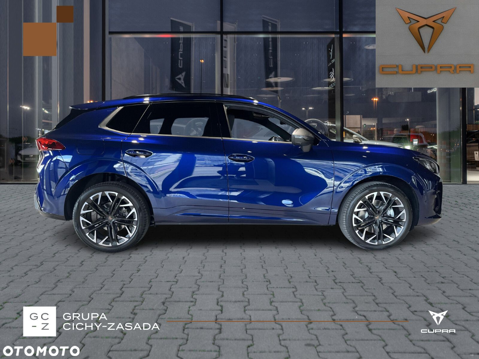 Cupra Terramar - 6