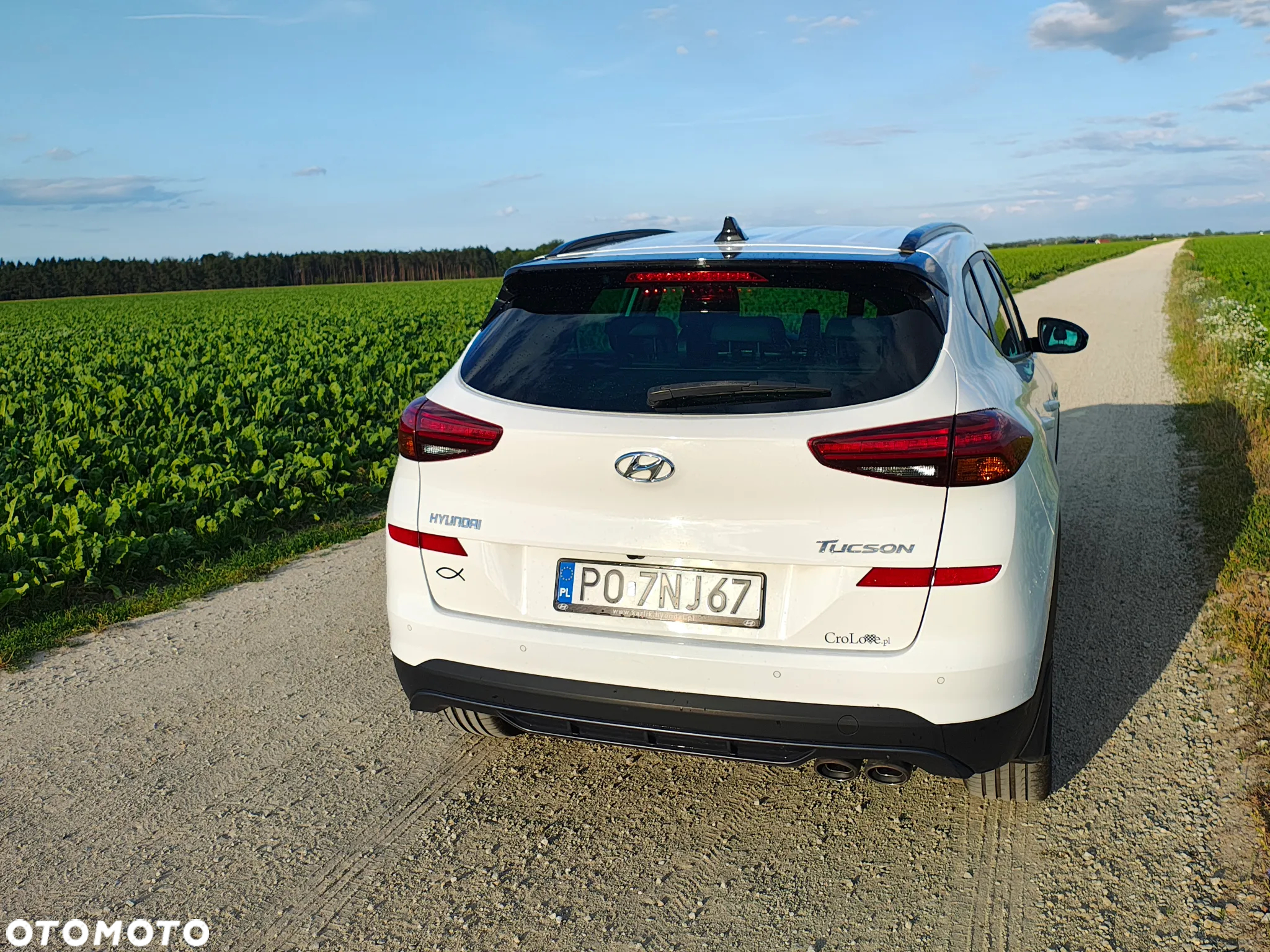 Hyundai Tucson 1.6 T-GDi N Line 2WD DCT - 6