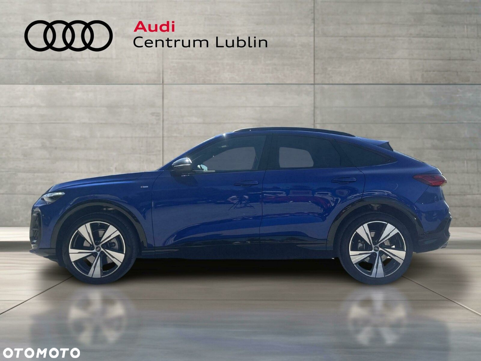 Audi Q5 - 2