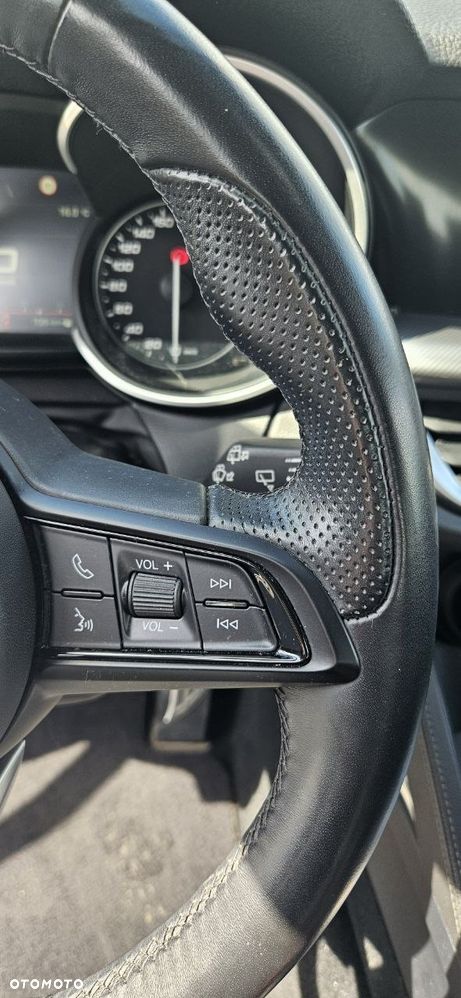 Alfa Romeo Stelvio 2.0 Turbo Veloce Q4 - 16