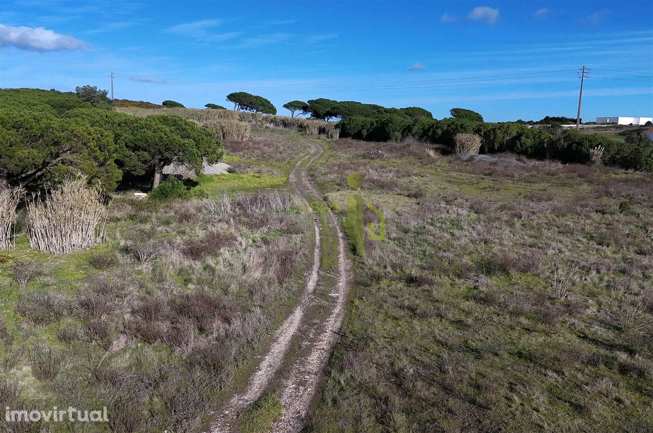 Terreno Rústico com 9640m2 na Terrugem - Grande imagem: 3/13