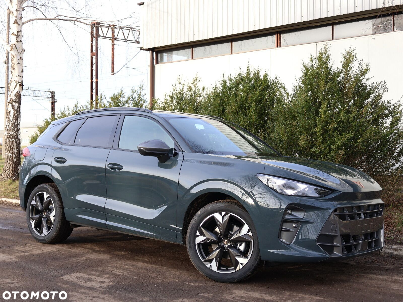 Cupra Terramar 1.5 eTSI mHEV DSG - 19