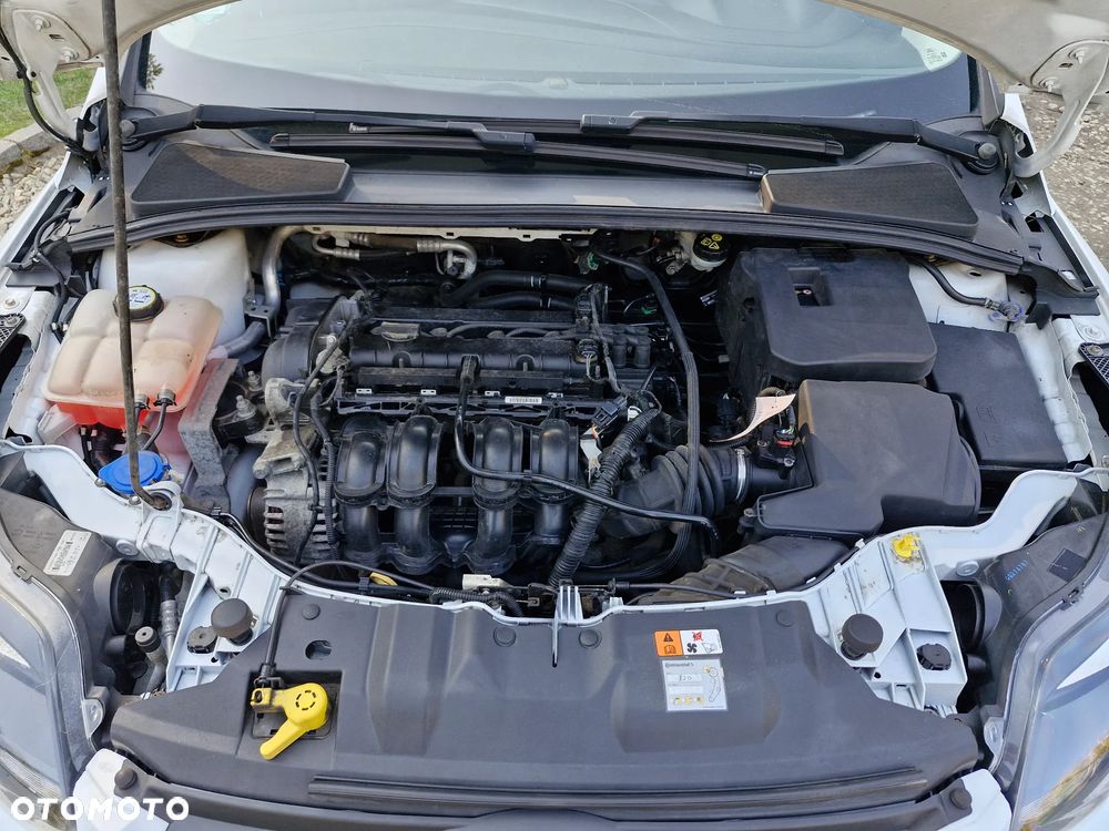 Ford Focus 1.6 TI-VCT Champions Edition - 24