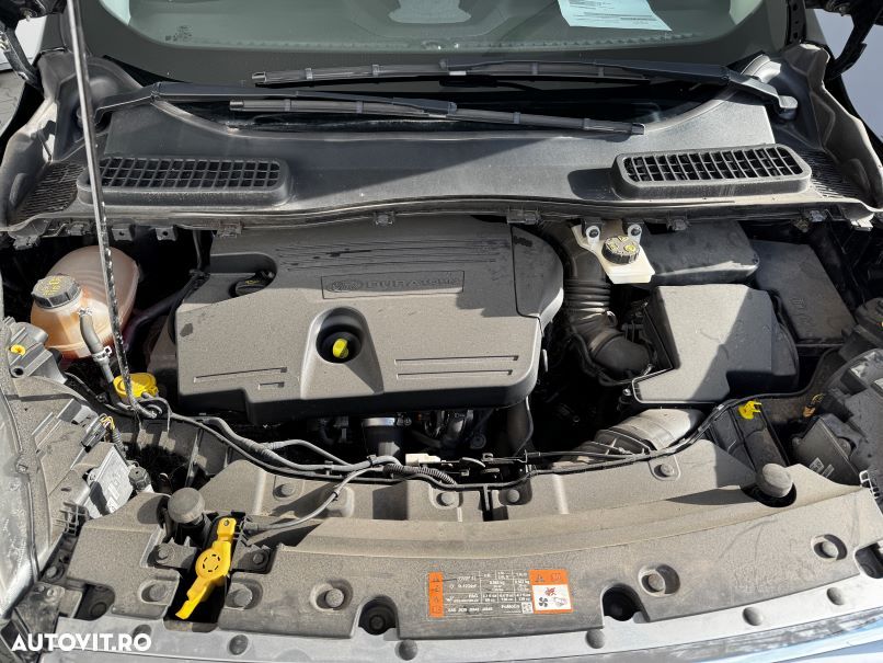 Ford Kuga 2.0 TDCi 4WD Powershift Titanium - 19