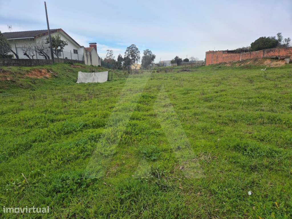 Terreno para construção de moradia em Angeja - Grande imagem: 4/9