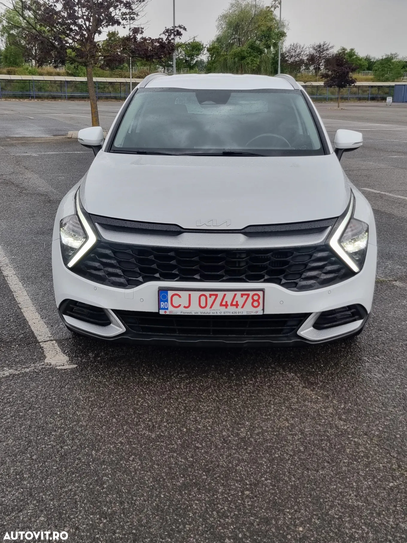 Kia Sportage 1.6 CRDI 2WD Eco-Dynamics+ (48V M-H) Vision - 5