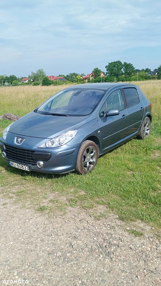 Peugeot 307 1.6 Sporty (kla) - 1