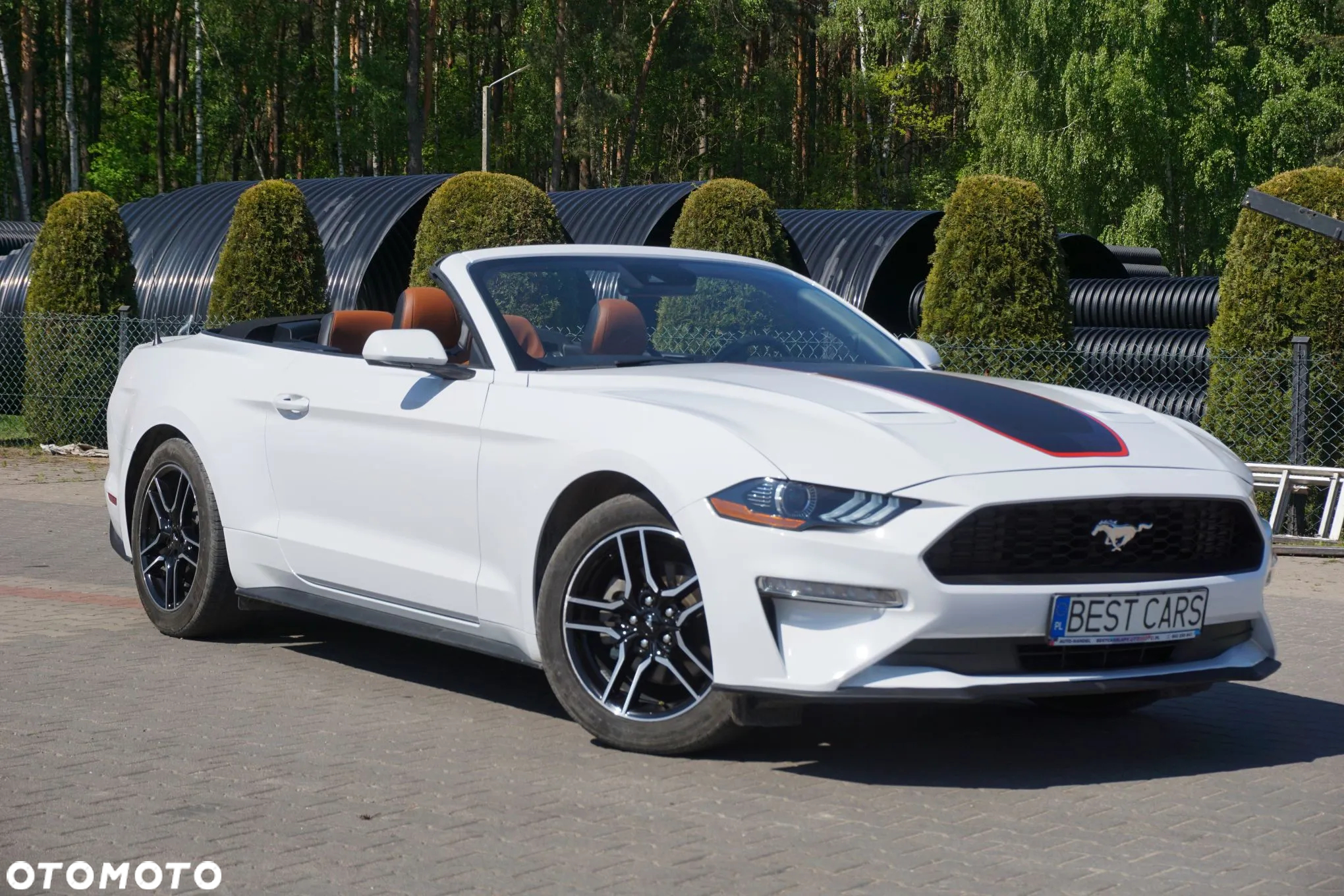 Ford Mustang Cabrio 2.3 Eco Boost - 21