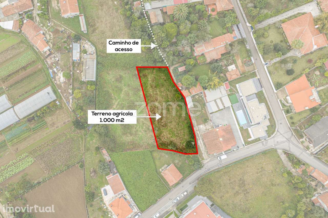 Terreno com 1.000 m2 para arrendamento agrícola, Grijó - V.N. Gaia - Grande imagem: 2/17