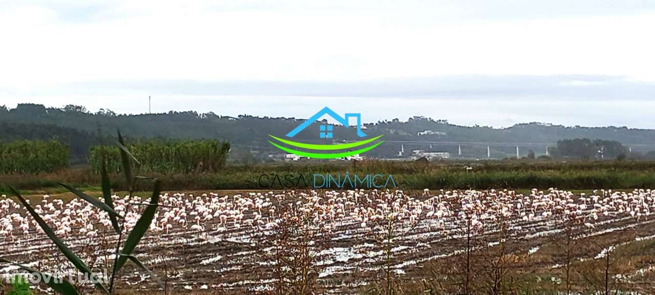 Terreno Urbanizável com 4.689 m² em Lavos – Figueira da Foz - Grande imagem: 3/22