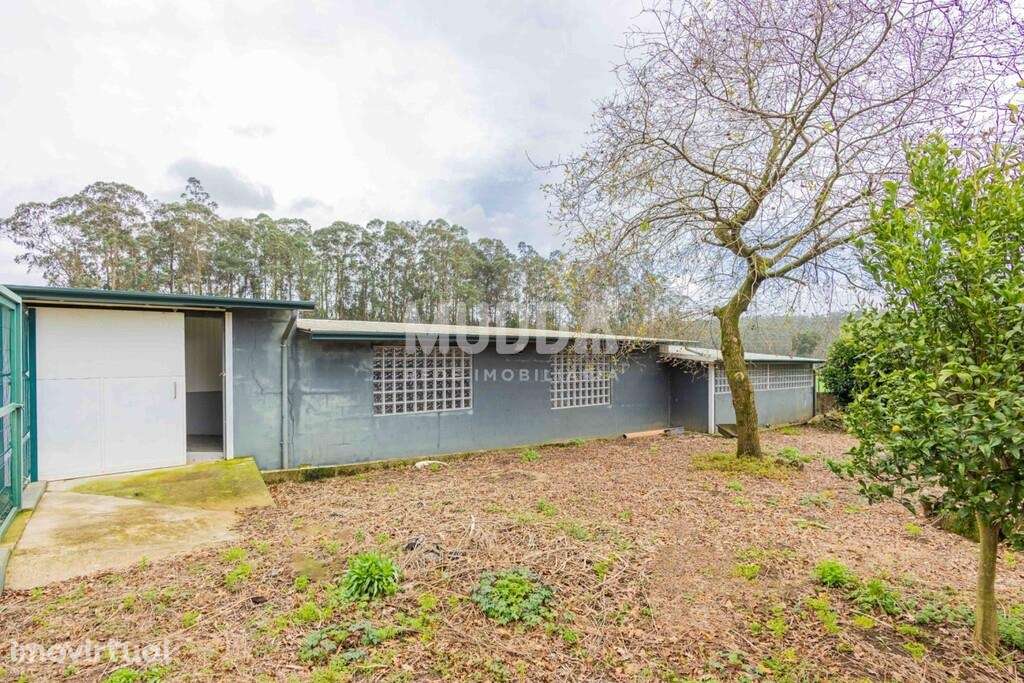 Terreno com Benfeitorias - Grande imagem: 2/38