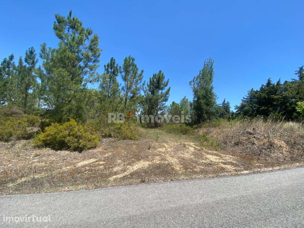 5 Terrenos Conjuntos - Boca da Mata, Tomar - Grande imagem: 2/17