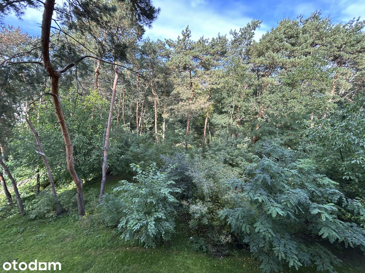 Mieszkanie na sprzedaż, 3 pokoje, 65 m², Sochaczew