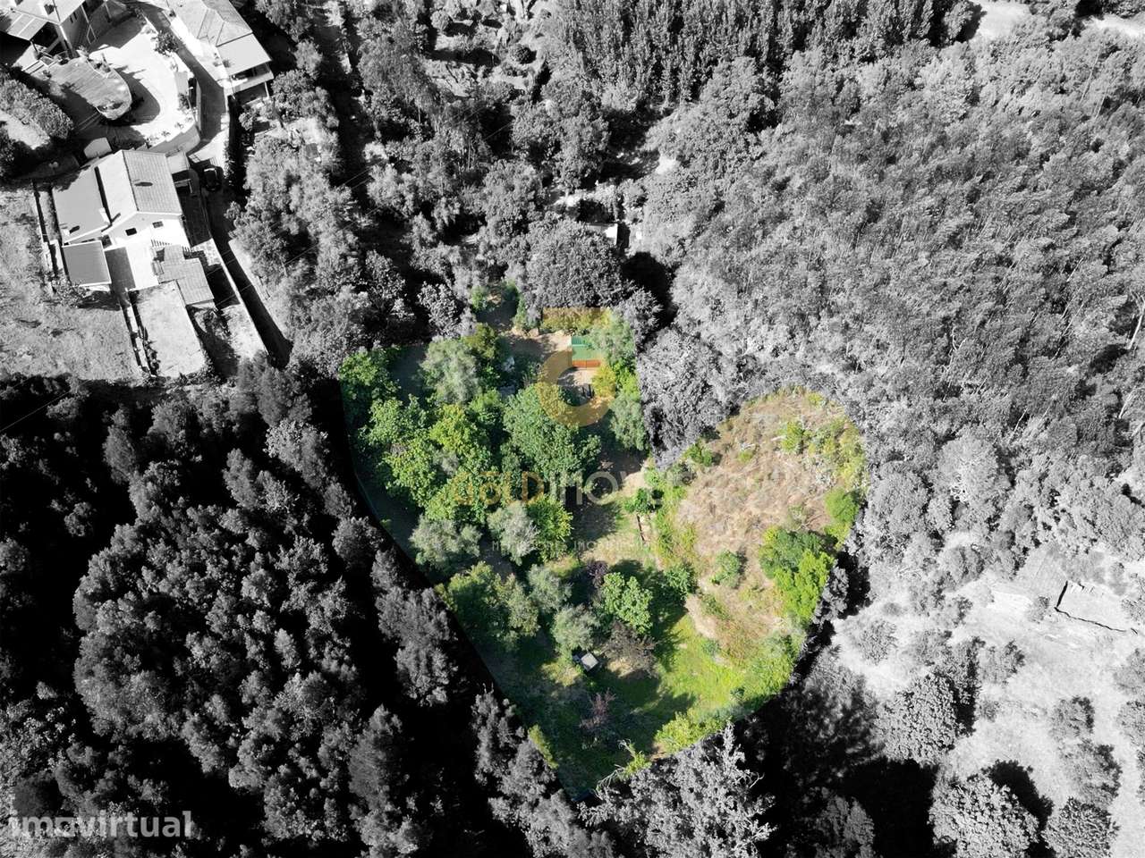 Terreno Rústico  Venda em Raiva, Pedorido e Paraíso,Castelo de Paiva - Grande imagem: 3/7