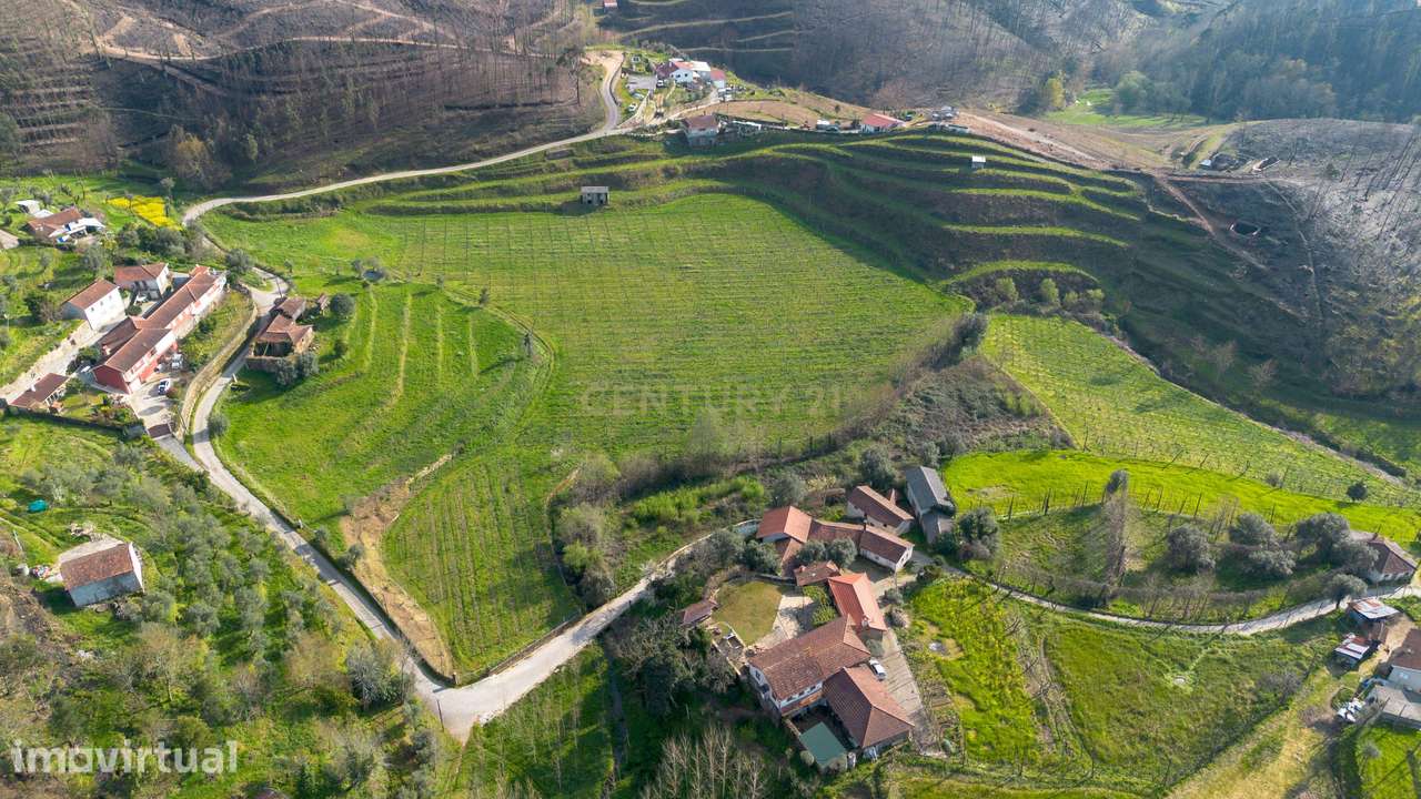 Terreno com Vinha Ativa e Casa em Celorico de Basto - Grande imagem: 2/23
