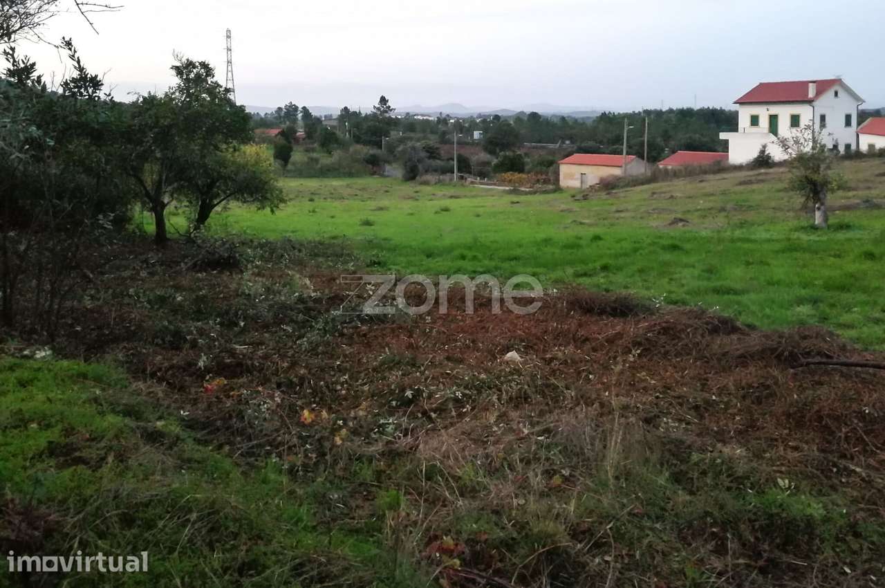 Terreno I Tavila I Vila Velha de Rodão - Grande imagem: 4/5