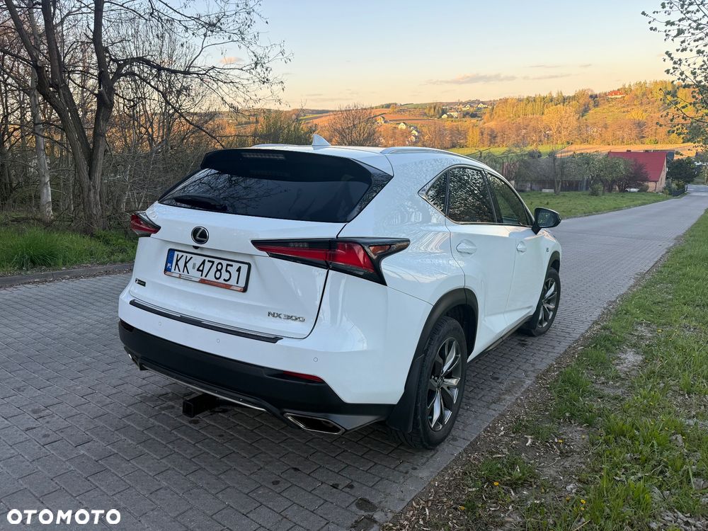 Lexus NX 300 AWD F SPORT - 18