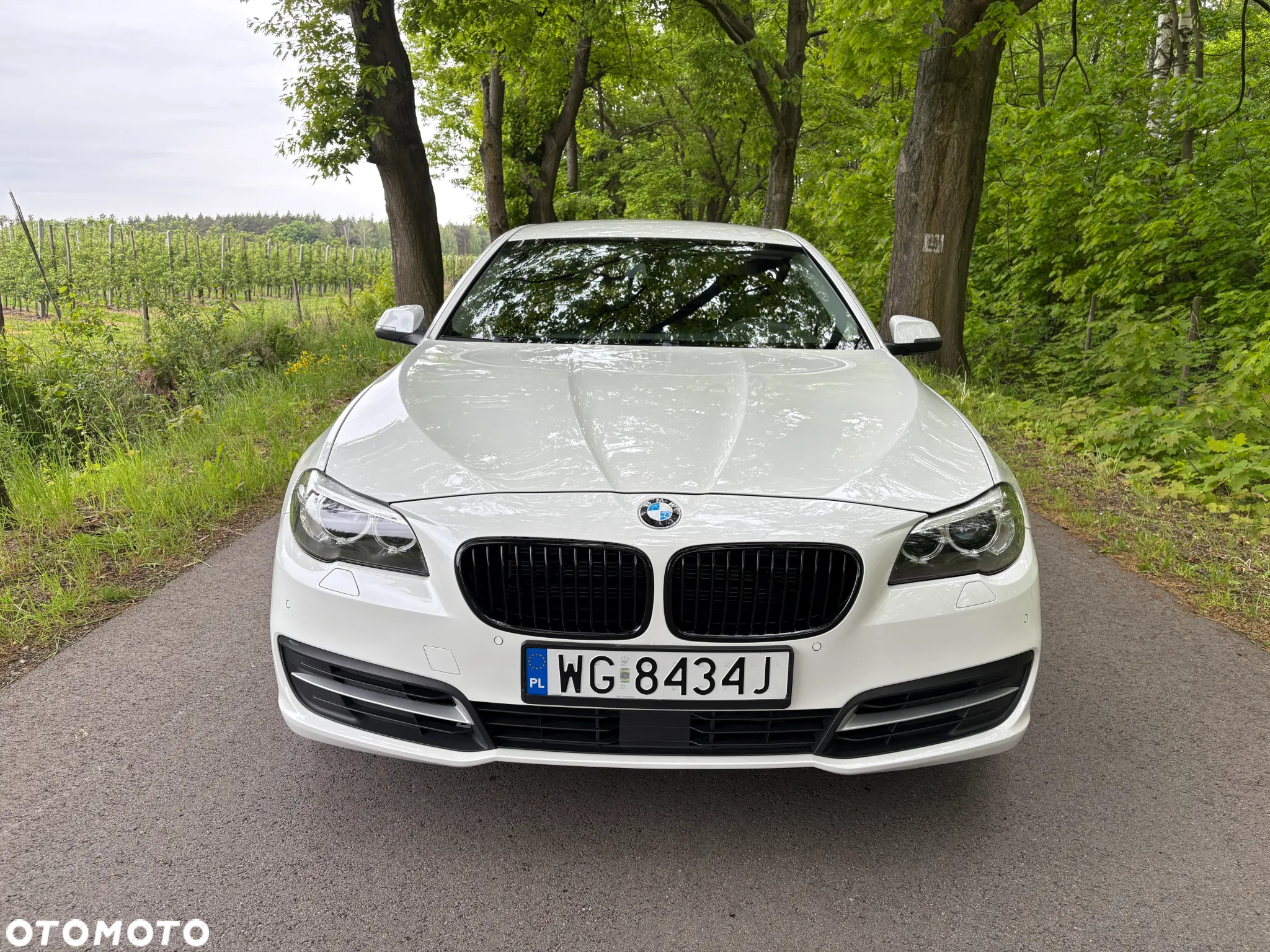 BMW Seria 5 520d - 33