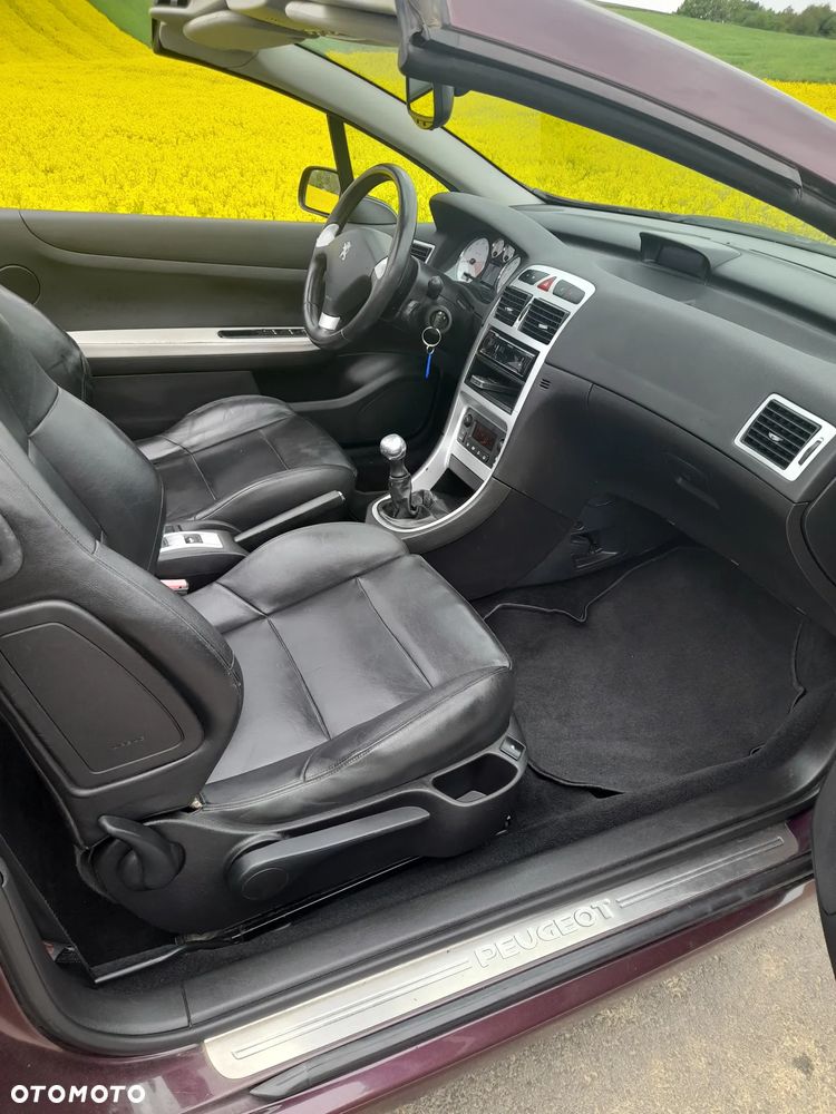 Peugeot 307 CC - 26