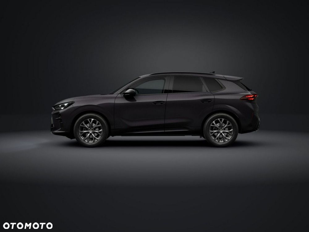 Cupra Terramar - 3