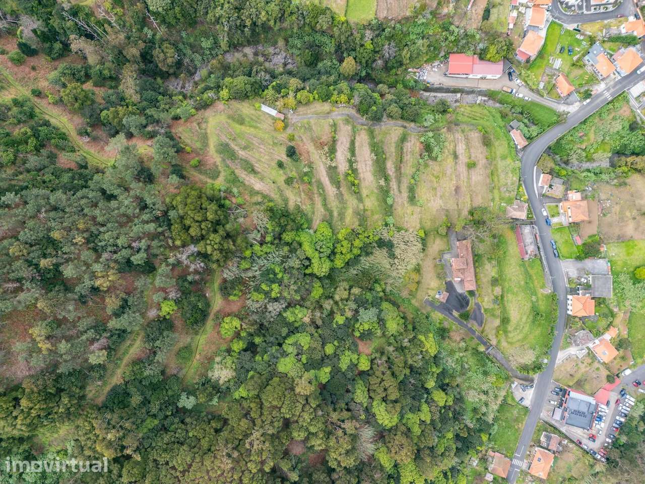 Terreno com 70.000 m2, na freguesia de São Vicente. - Grande imagem: 2/19