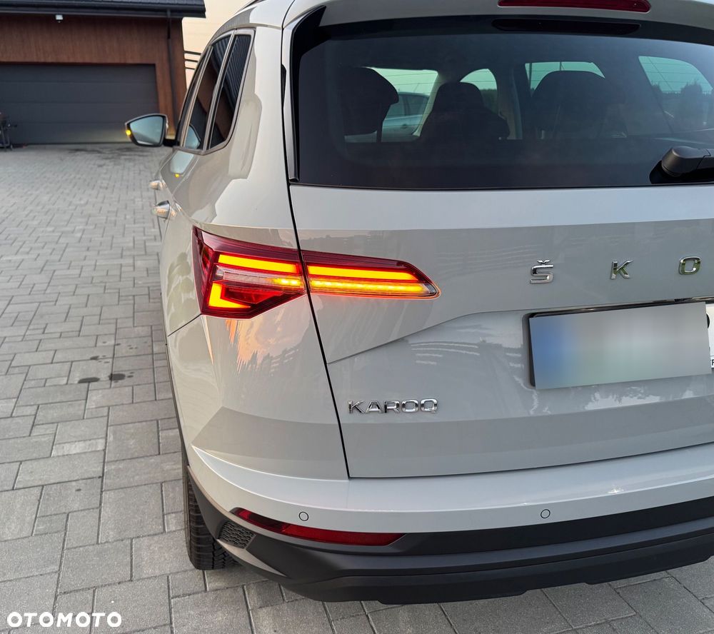 Skoda Karoq - 10
