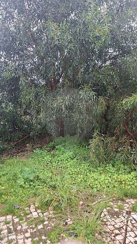 Terreno  para venda - Grande imagem: 3/3