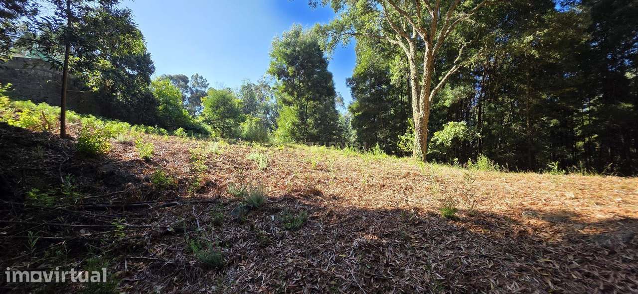 Terreno com Ruínas em Pedra – Penelas, Termas de São Vicente (Penafie - Grande imagem: 3/56